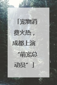 宠物消费火热，成都上演“萌宠总动员”